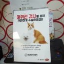 도그플러스동물병원 이미지