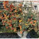 뱃나들펜션 이미지