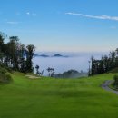 일레븐CC 이미지