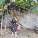 서오어린이집 이미지