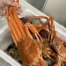 영덕시장(3호) 이미지