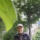 감천항로 이미지