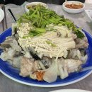 감포은정아구 이미지