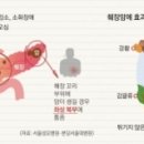 국내 암 발생 순위 이미지