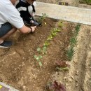 사은농장 이미지