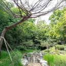 개화산 진입로 이미지