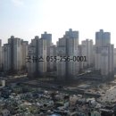 양덕동113 이미지