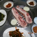 올레 두번째이야기 이미지