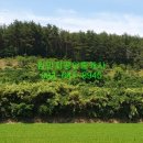 행정리 마을회관 이미지