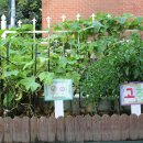 휘경어린이집 이미지