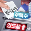 완성일 이미지