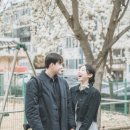 승호스냅 빈티지 목련 사진 후기
