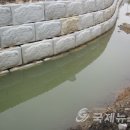 신길고 사거리 이미지