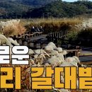 11/12(화)내변산 가을풍경 장자도 신성리 갈대밭(변산/군산/서천)출발06시50분 이미지