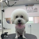 효우로 이미지
