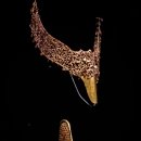 부산시립박물관 | 양산에 이런 박물관이 있었다니, 양산시립박물관 후기