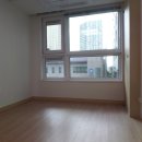 비즈트위트 오렌지 이미지