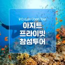 수만카써비스 | 베트남 다낭 호핑투어 참섬 씨워킹 스노쿨링 아지트