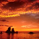 해돋이가 예쁜 추암해변과 대관령 양떼목장, <겨울연가> 남이섬 단풍기차여행(무박여행) 이미지