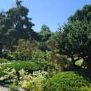 임피초등학교 이미지