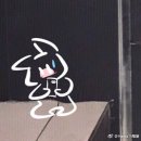 하마보
