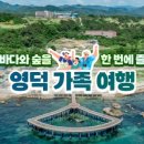 바다와 숲 이미지