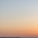 부전식당용 중고마트 | [몽골 5박6일 고비투어] 2일차 후기-바얀작 (훈누투어)