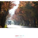 지석로 이미지
