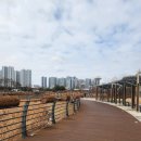 옥정스마트시티복합센터 주차장 | 옥정신도시 나들이 (호수공원과 호수도서관, 회암사지)