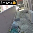 우아한개 이미지