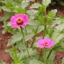 재현농장 이미지