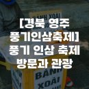 고려인삼판매 | [경북 영주 풍기인삼축제] 풍기 인삼 축제 방문과 관광