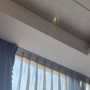 에덴메디여성병원 산후조리원 이미지
