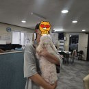 세븐 일레븐 포항연일점 이미지