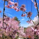 승수농원 이미지