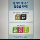 올리브영 경산조영점