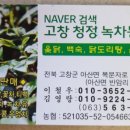 고창청정녹차농원