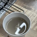 꼴통돼지