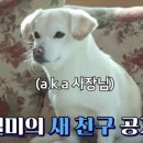 김용선 민박 이미지