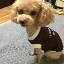 월평초등학교 이미지