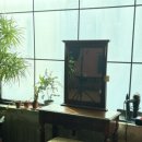 하쿠나마타타헤어 이미지