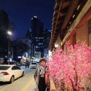 각시보쌈 - 영등포구 선유로 86 | 각시보쌈