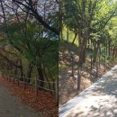 승학산 둘레길 이미지
