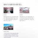 월하당펜션