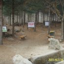 입실약국 Daum카페
