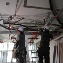 비플랜