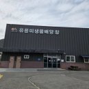 농업기술센터 유용미생물배양장 이미지