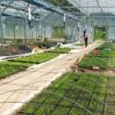 약용작물센터 이미지