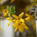 가현어린이공원 이미지