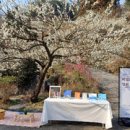 매화도서관 이미지